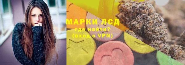 крисы Алзамай