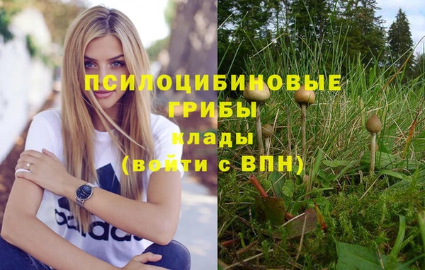 соль ск Алексеевка