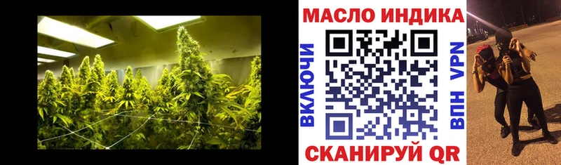 ТГК THC oil  hydra зеркало  Салехард  наркота 