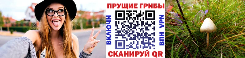 продажа наркотиков  Салехард  Галлюциногенные грибы GOLDEN TEACHER 